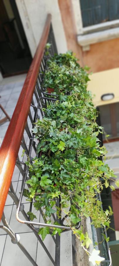 Apartmán Ca' Baby Venezia Exteriér fotografie